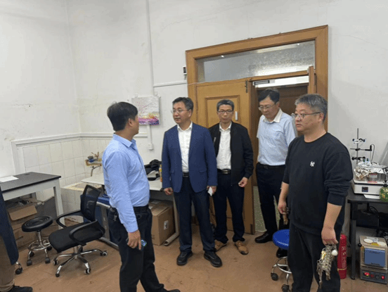 德信体育官方网站